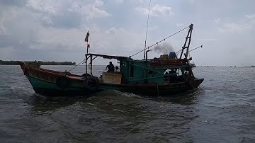 Lễ hội Nghinh Ông Sông Đốc Cà Mau