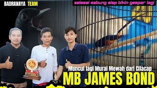 MUNCUL LAGI MURAI MEWAH DARI CILACAP || MB James Bond Pasca Mabung Siap Bikin Gempar 
