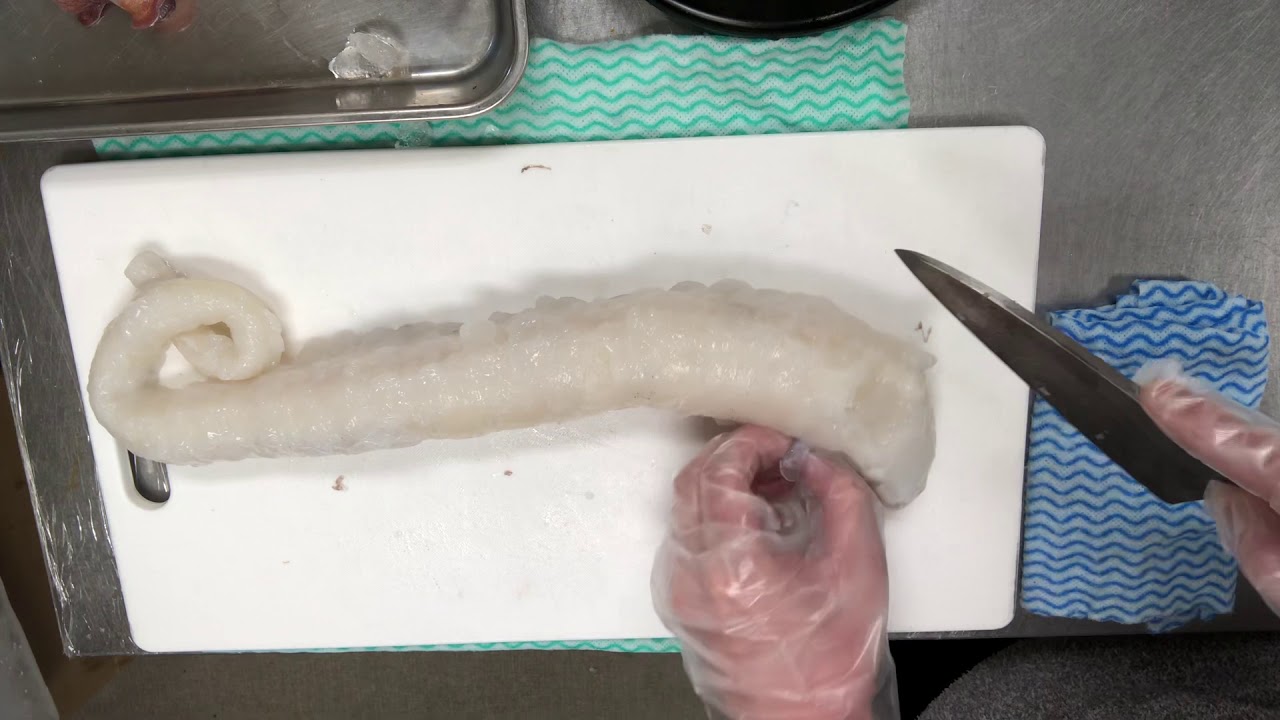 ミズタコ下処理動画