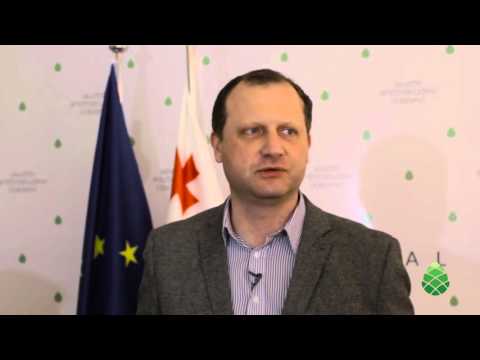 \"გირჩი\" საკონტიტუციო სასამართლოში სარჩელს შეიტანს