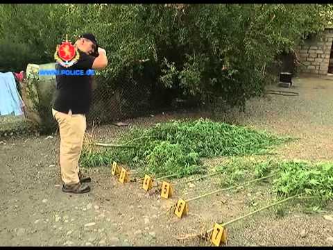 შსს-მ 6 კილოგრამზე მეტი კანაფი ამოიღო