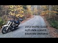 72 guzzi eldorado  autumn leaves