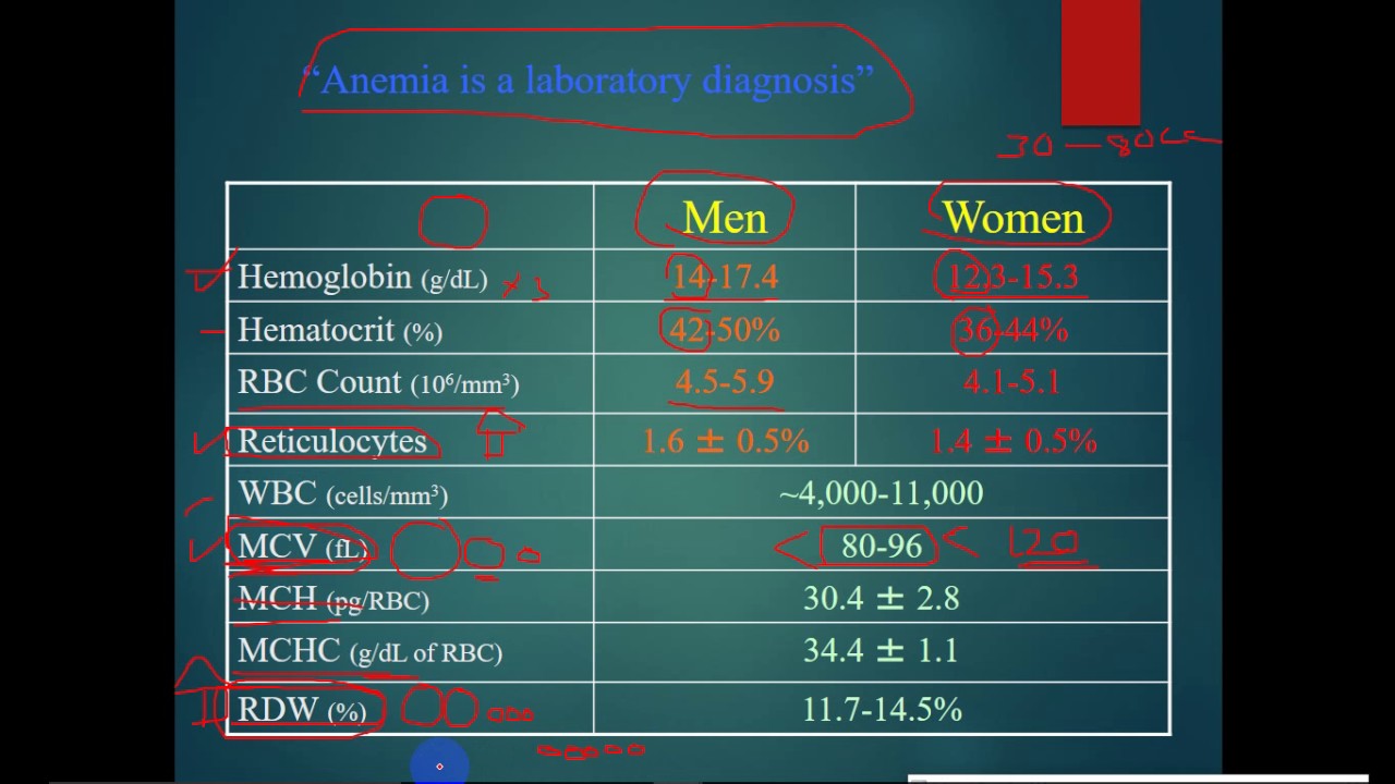 Pathology Hematology Dr Tahseen Introduction To Anemia