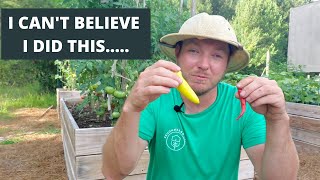 Pepper Growing Tips I Wish I'd Known | This Will Shorten Your Learning Curve |