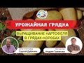 ВЫРАЩИВАНИЕ КАРТОФЕЛЯ В ГРЯДАХ-КОРОБАХ