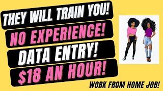No Experience  They Will Train You Data Entry No Degree $18 An Hour Work From Home Job WFH Remote