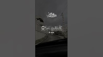 تلاوة خاشعة لآيات من كتاب الله #القرآن_الكريم #الله #اكسبلور #المصحف #اكسبلور #foryou #pourtoi #vira