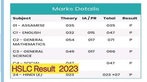 class 10 Hslc result| Hslc class 10 results 2023| 2023 Assam SEBA board result