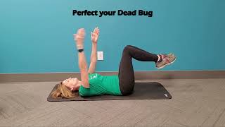 Pain-free Dead Bug