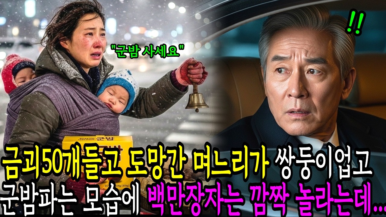 금괴 50개 들고 도망간 며느리가 쌍둥이 업고 눈보라 속 군밤 파는 모습에 재벌회장이 깜짝 놀라는데…ㅣ노후사연ㅣ감동사연ㅣ사연라디오ㅣ오디오북