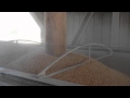 Loading Corn at CereServ