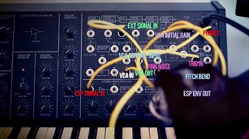 New Adventures in K7 #3 : How to Process Drums with MS20 Filter w/ Cat