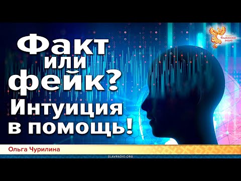 Факт или фейк?
