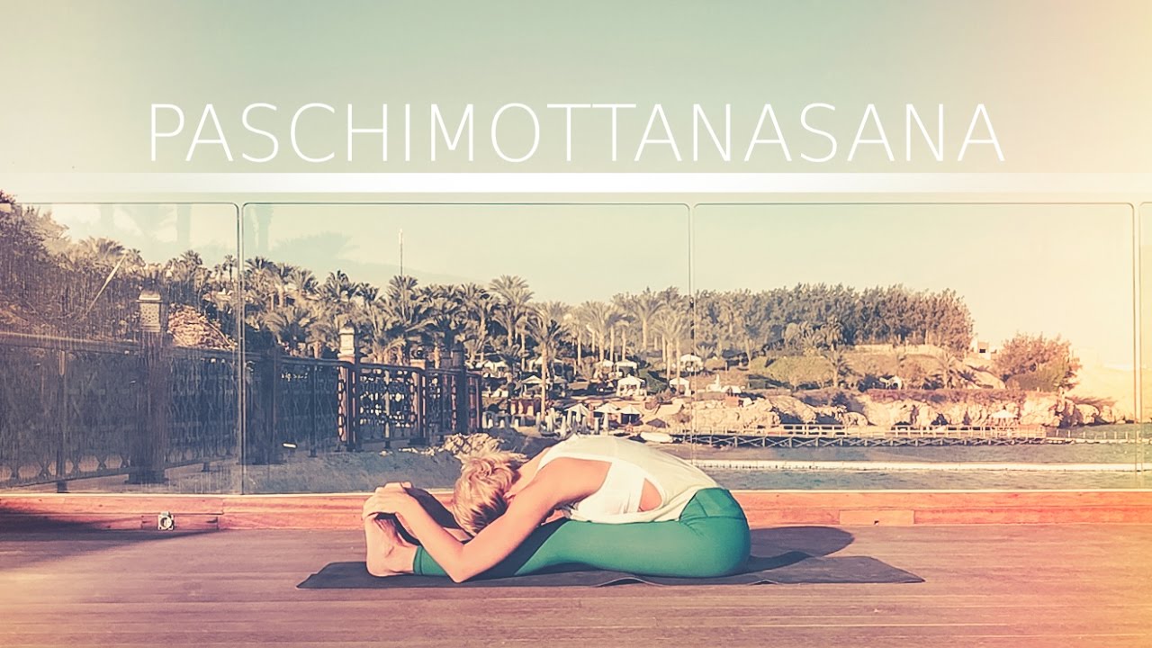 Пашчимоттанасана. Асаны для начинающих. Наклон к ногам с Дарьей Самойловой.