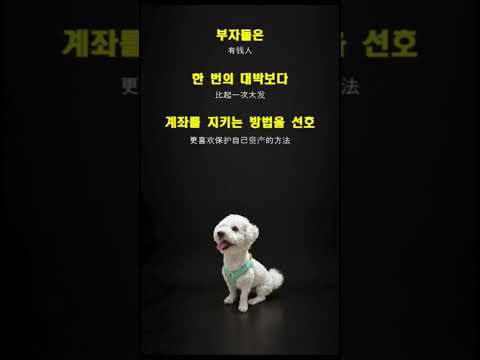 #재테크 #주식투자 #수익실현 #중국어공부