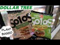 DOLLAR TREE * NEW FINDS #shorts