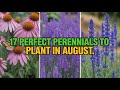 17 Best Perennials to Plant in August 🌼 Low-Maintenance Blooms for Late Summer Gardens | 2025 Hack