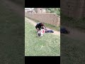 Funny 