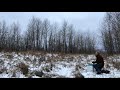 Releasing the "coffee" snowy owl