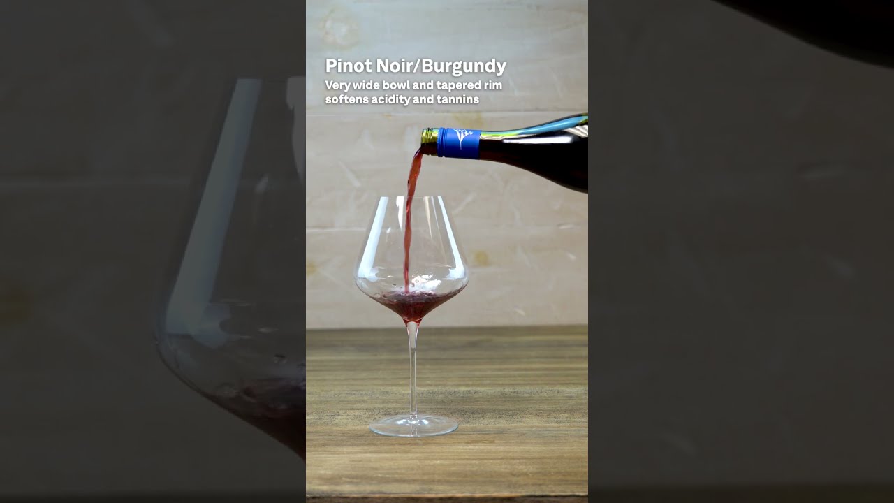 Types Of Wine Glasses