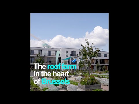 EU is Cohesion: A participatory rooftop farm in Brussels