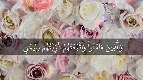 والذين آمنوا واتبعتهم ذريتهم بإيمان ألحقنا بهم ذريتهم 🤍 - القارئ أحمد خضر 🌿💚