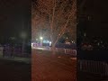 Christmas Display 2023#shortsviral #trending #yt #christmas #Lights#asmr