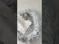 😹🐾😍ТикТок Самое Лучшее!TikTok trends #shorts