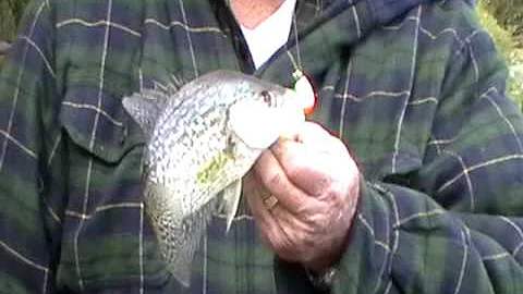 Bob N Jig Crappie3