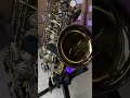 Saxofone Alto SA 500 LN