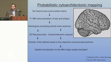 OHBM Oral Presentations: Simon Eickhoff