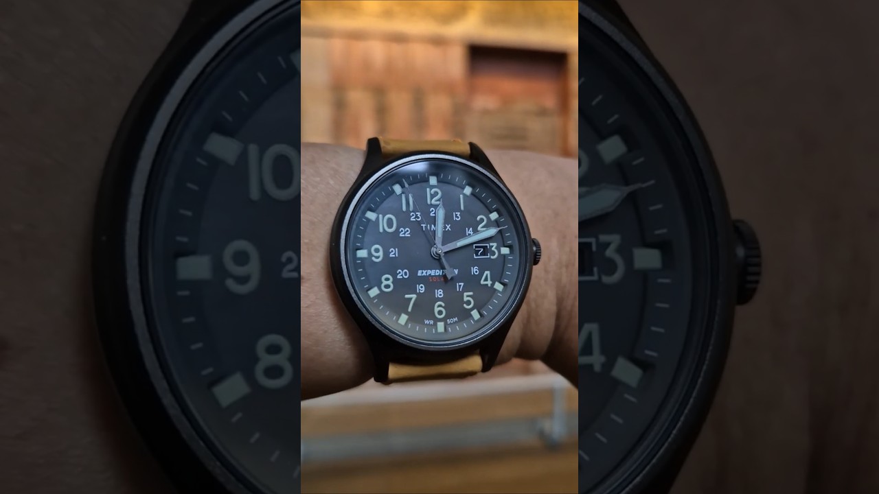 Timex Expedition Scout Solar TW4B24700 - Wrist Roll