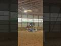 Rhys was perfect at our lesson yesterday💗 #horse #equestrianjourney #foryou #rhys #riding #ottb