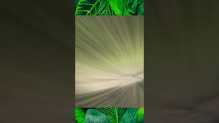 Tayronas En Teyuna, La Ciudad Perdida De Colombia.