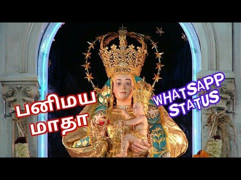 Panimaya Madha Song Whatsapp Status Tamil Christian Song Whatsapp Status   Status 