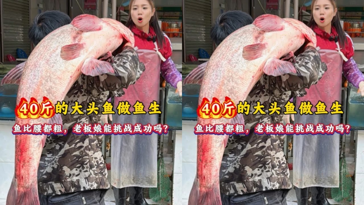 40斤的大头鱼做鱼生，鱼比腰都粗，老板娘能挑战成功吗？