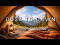 🔴 LIVE — 8 Hours Deep Focus Music | Dusk to Dawn Wilderness 🌌