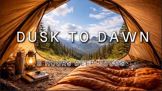 🔴 LIVE — 8 Hours Deep Focus Music | Dusk to Dawn Wilderness 🌌