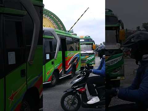 2 bus mikro TABAH WONOSOBO DIENG BATUR