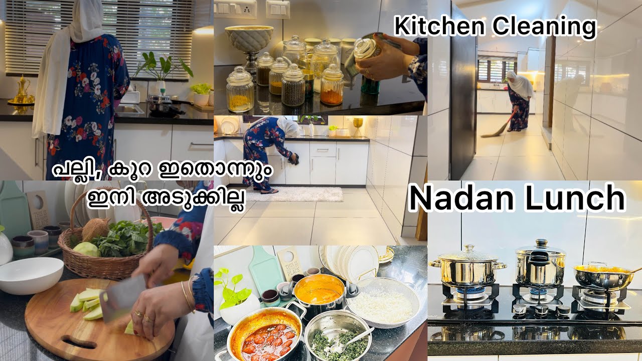 ഇങ്ങനെയൊക്കെ ചെയ്താൽ അടുക്കള എപ്പോഴും Clean ആയിരിക്കും/Nadan Lunch/Kitchen Cleaning tips &tricks/