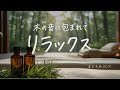 木の音で癒やされる まどろみBGM|Relax meditation study|作業用
