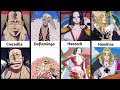 Before vs After: One Piece Characters GLOW UP!"