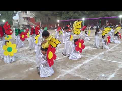 #flowers #dance #knpis #gota #ahemdabad #education #skills #learning #cbse #gseb #AdmissionsOpen