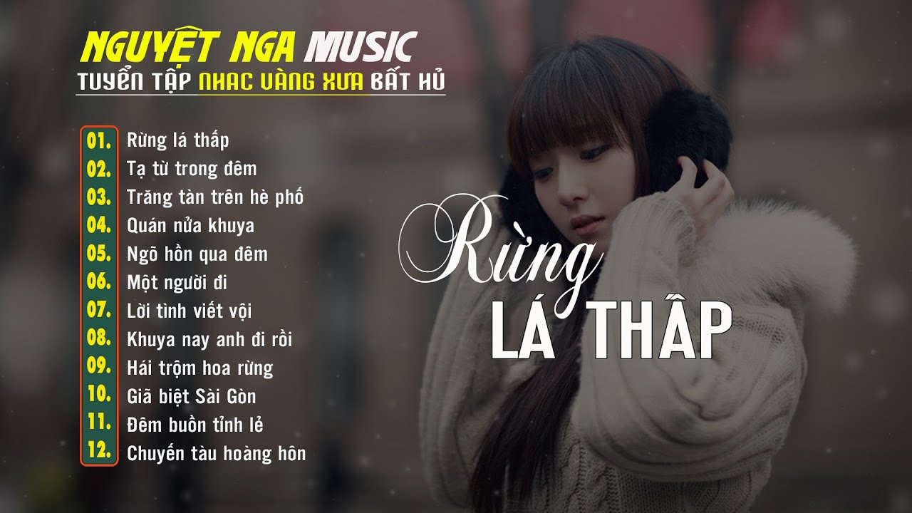 RỪNG LÁ THẤP | Liên Khúc Nhạc Lính Bất Hủ | Tan Chảy Con Tim | CS: Nguyệt Nga, Bùi Phi Long