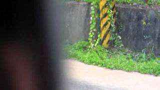20090809 莫拉克颱風~我家情況-5
