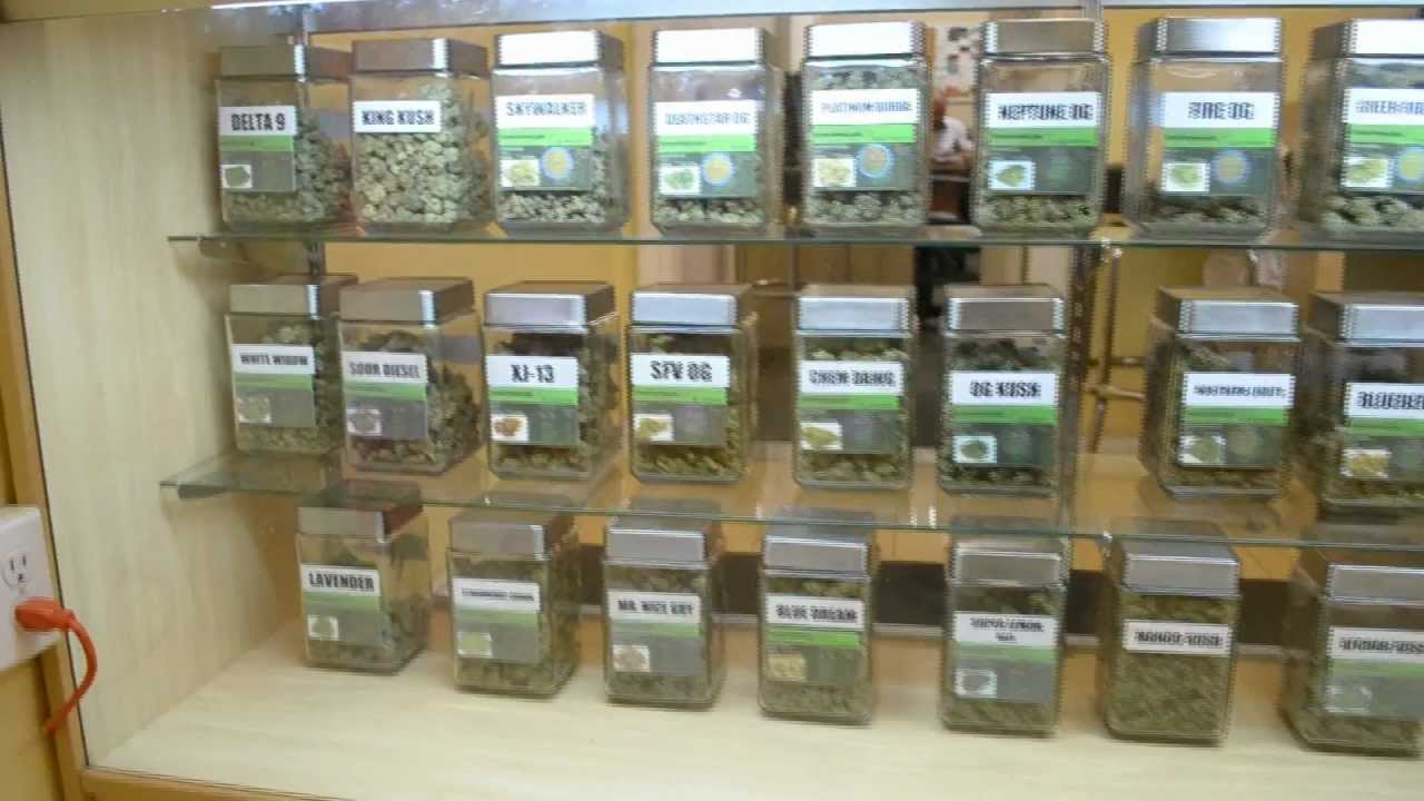 RateMyWeed: Delta 9 Collective Tour