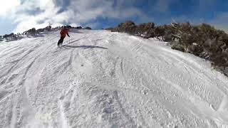 20230723 Hotham Bushwacker