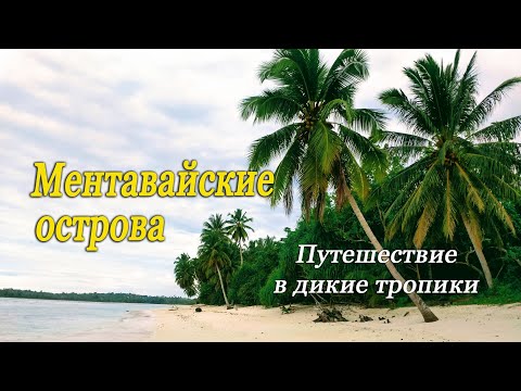 Ментавайские острова / Mentawai Islands / Путешествие в дикие тропики