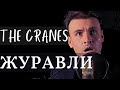 Журавли (Дмитрий Риберо-Феррейра) | The Cranes (Dmitri Ribero-Ferreira)