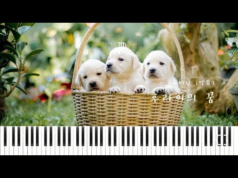 Fry's Dream - AKMU